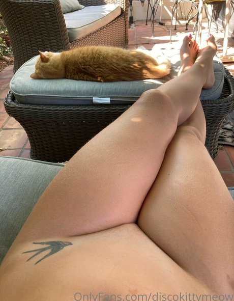 discokittymeow free only fans