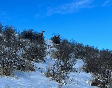 audreybelletv onlyfans sex