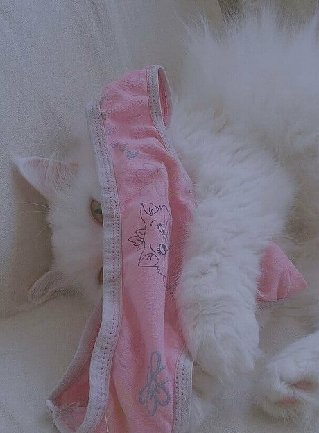 cutekatrin onlyfans striptease