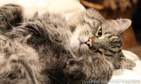 daraamber free only fans