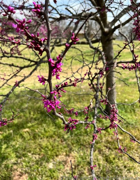 delilaheve onlyfans porn leak