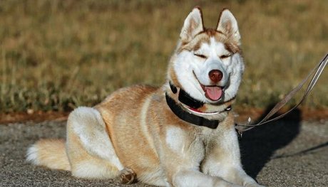 pech os onlyfans images