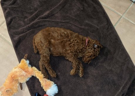 Vivid Whit nudes onlyfans leaks