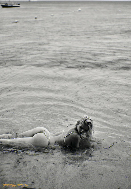 Ohrangutang onlyfans leaks nudes