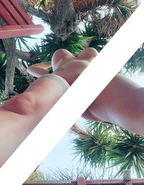 Moxicontin Profile pic