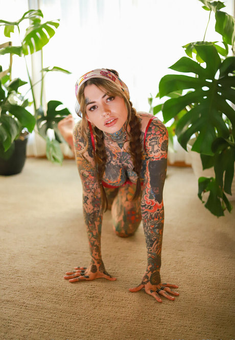 Tigerlilly Profile pic