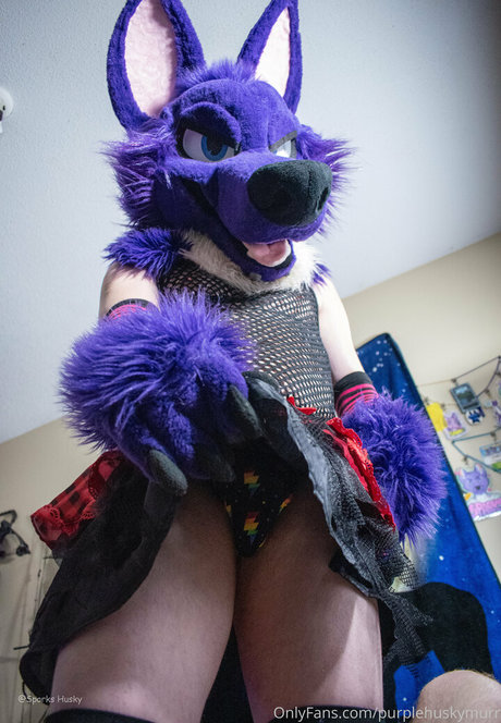 purplehuskymurr onlyfans leak