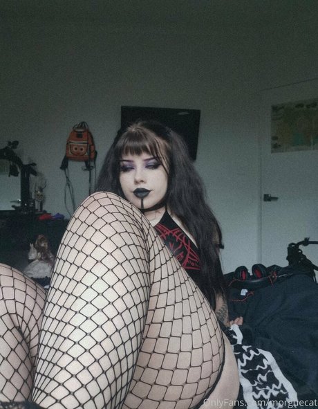 morguecat onlyfans nudes leaked