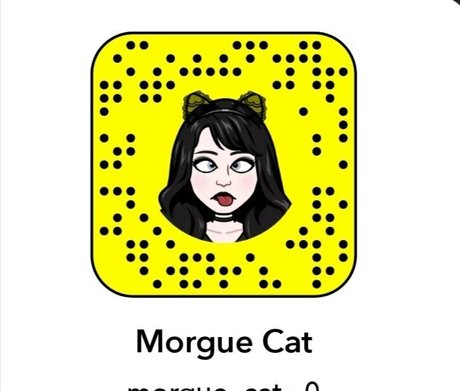morguecat onlyfans post