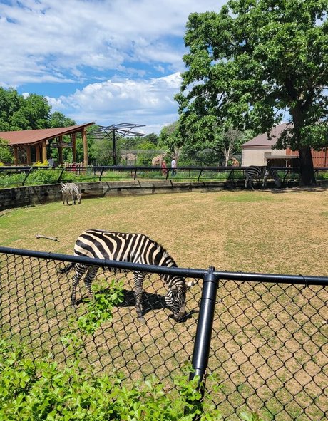 peachyqueen45 porn onlyfans leaks