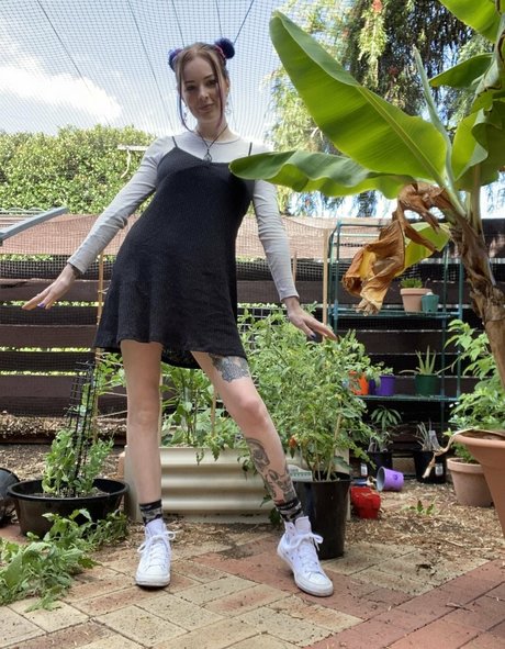 nikki wtsm onlyfans leajs