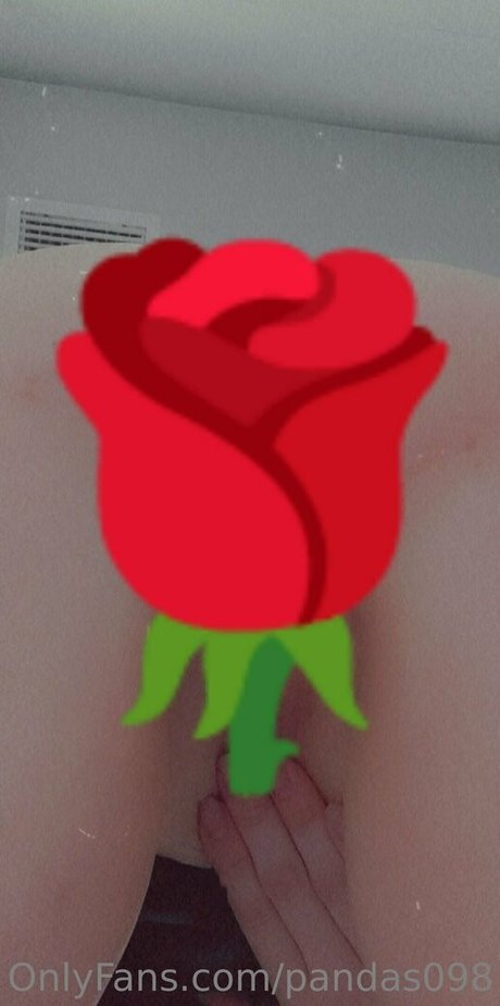 pandas098 leaked onlyfans