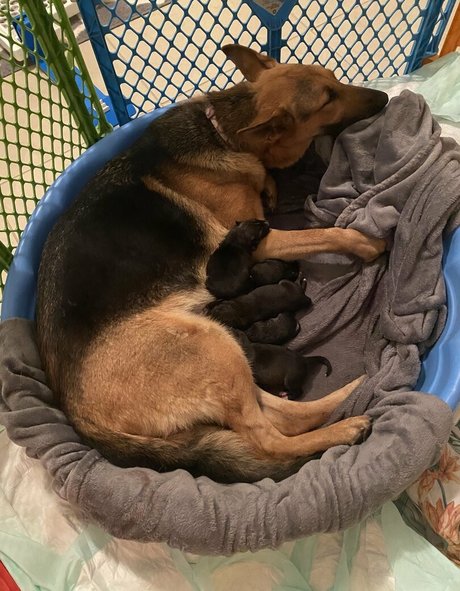 reallillyhallxx naked leaked onlyfans