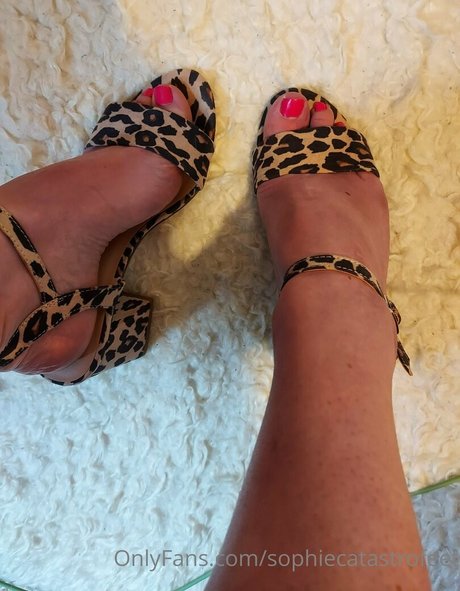sophiecatastrofeet onlyfans free