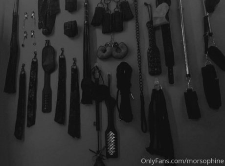 morsophine onlyfans free porn