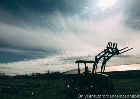 danceincannabis onlyfans sex