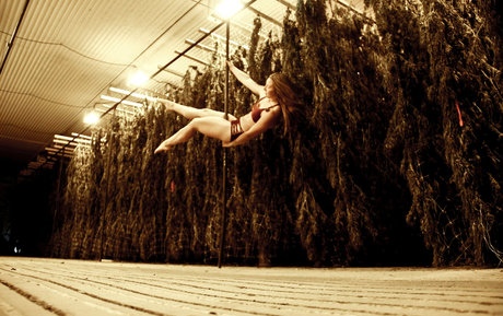 danceincannabis sextape onlyfans