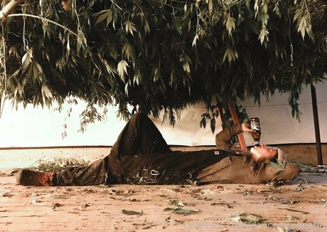 danceincannabis onlyfans nudes leaks