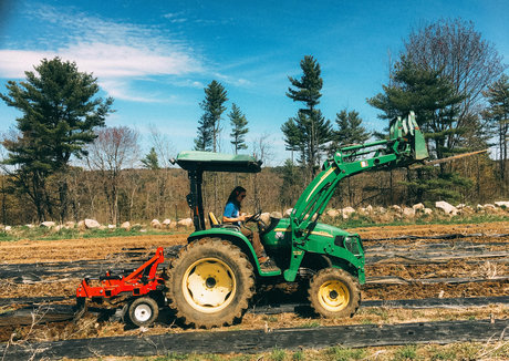 danceincannabis onlyfans pic