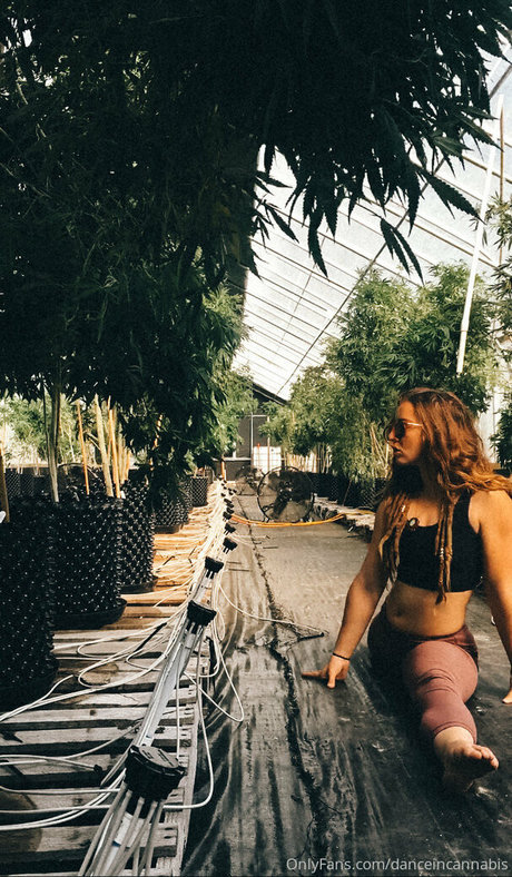 danceincannabis strip onlyfans