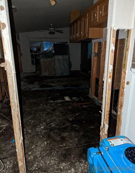 lisaapinelli onlyfans nudes