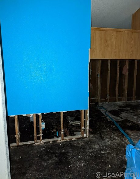 lisaapinelli naked onlyfans leak