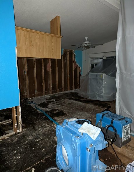 lisaapinelli onlyfans leaks sex