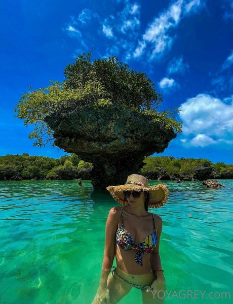 Yoyagrey onlyfans leak ass