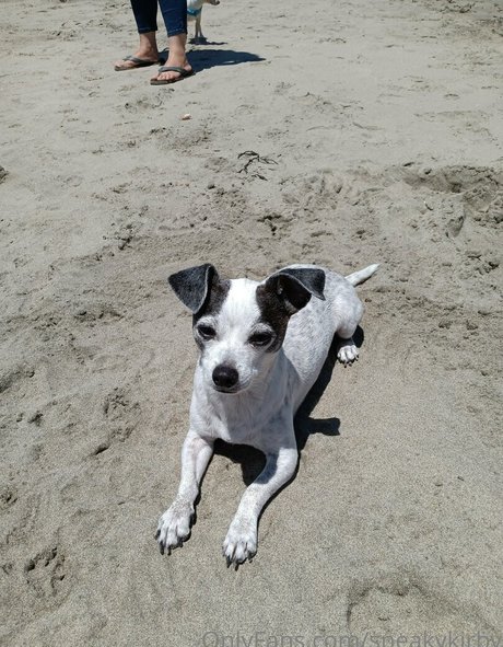 sneakykirby en onlyfans