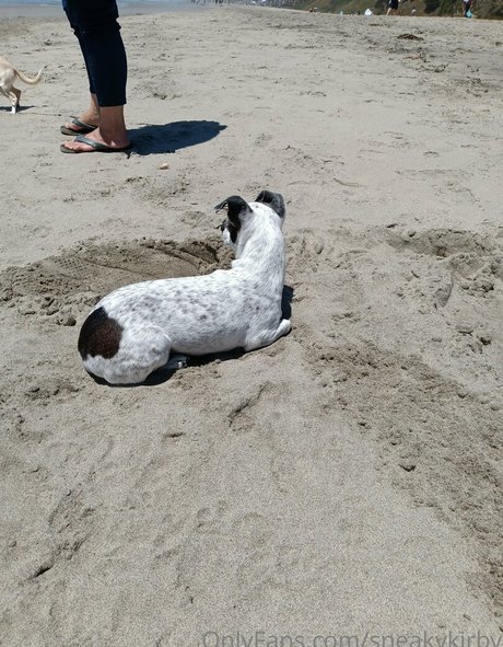 sneakykirby onlyfans x