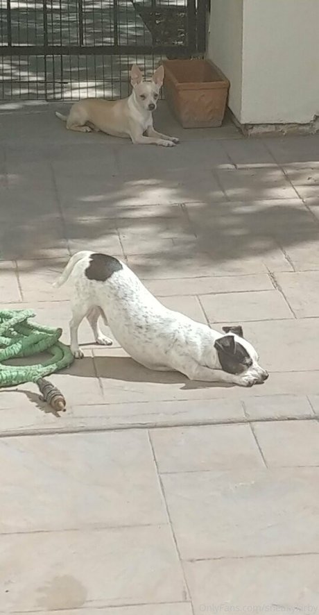 sneakykirby nude onlyfans