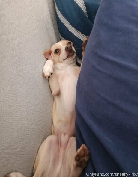 sneakykirby fans only