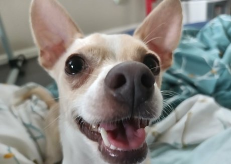 sneakykirby onlyfans sex