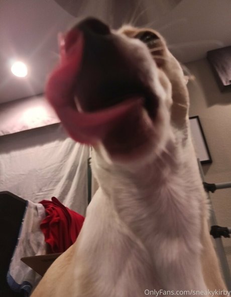 sneakykirby onlyfans leakd