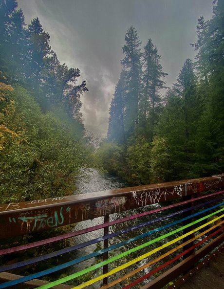 bendybombshell Profile pic