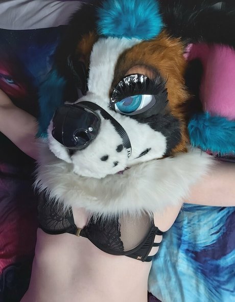 lexipuppy nude onlyfans porn