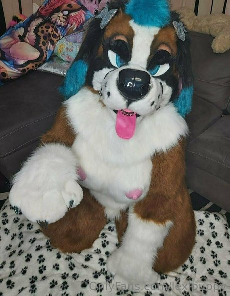 lexipuppy only fans pictures
