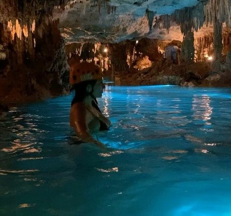 Michelle Balderrama only fans review