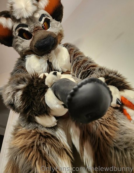 thelewdbunny onlyfans de