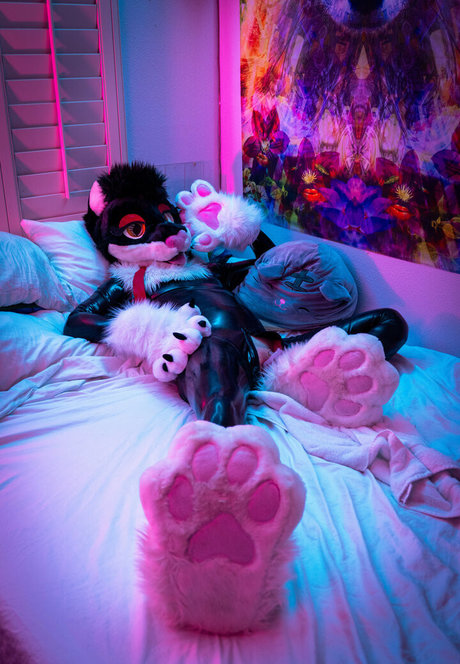 yiffykitty Profile pic