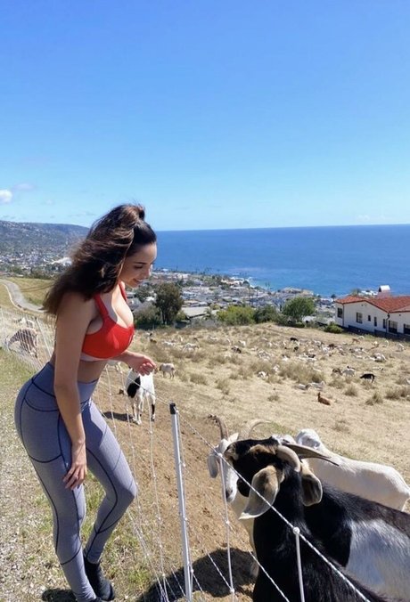 Tara Yazdi sex onlyfans