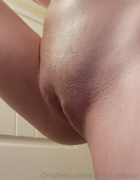 carnalcambion onlyfans leak new