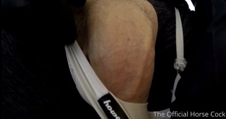 horse cock nude onlyfans leaked