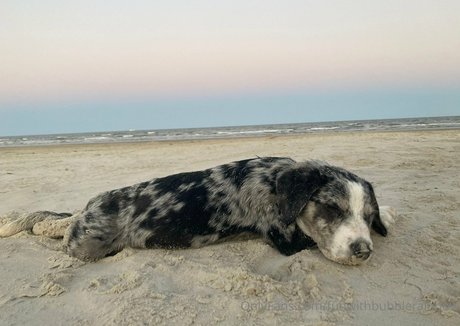 funwithbubblerainbow onlyfans nudes