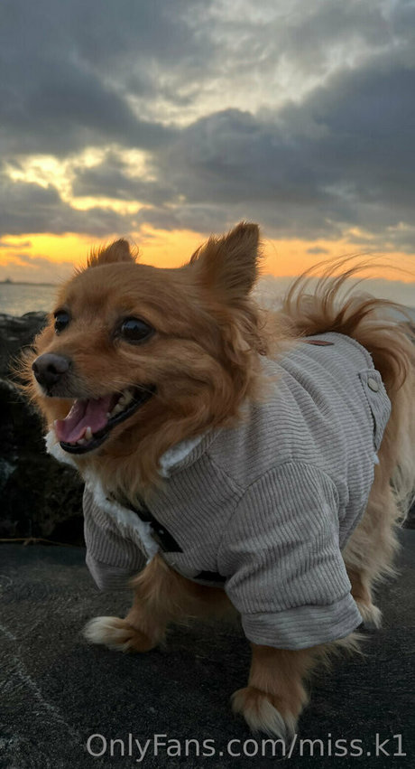 miss k1 onlyfans ass