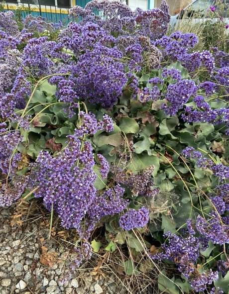 nakedbakerstv onlyfans porno