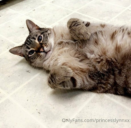 princesslynnxx onlyfans fotos