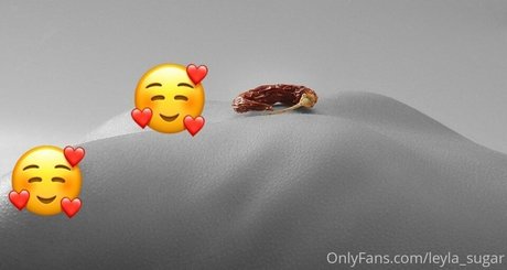 leylasugar onlyfans leaked free