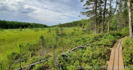 emberblazexxx Profile pic