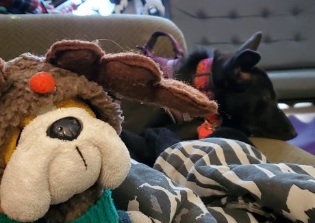 emberblazexxx nudes onlyfans leaks